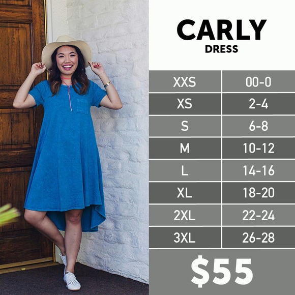 LuLaRoe Dipped Two Tone Carly Dress XS NEW Gray Black High Low A-Line Swing - Picture 7 of 9